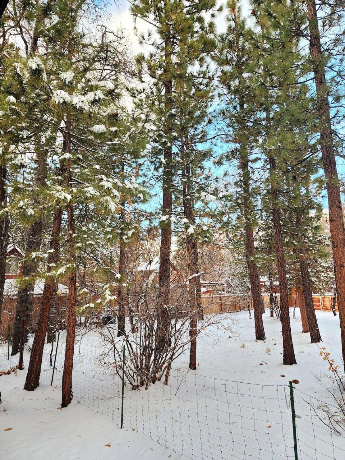 Bear Escapes II Affordable Luxury Cabin Sugarloaf Экстерьер фото